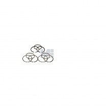 К-т поршн колец D=70мм, 0,50 DD/CAT